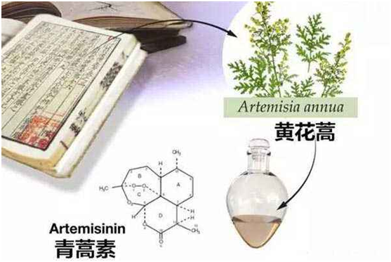 九游娱乐平台客服,乐动（中国）：向中医药看齐，与世界共享中医药文化(图1)